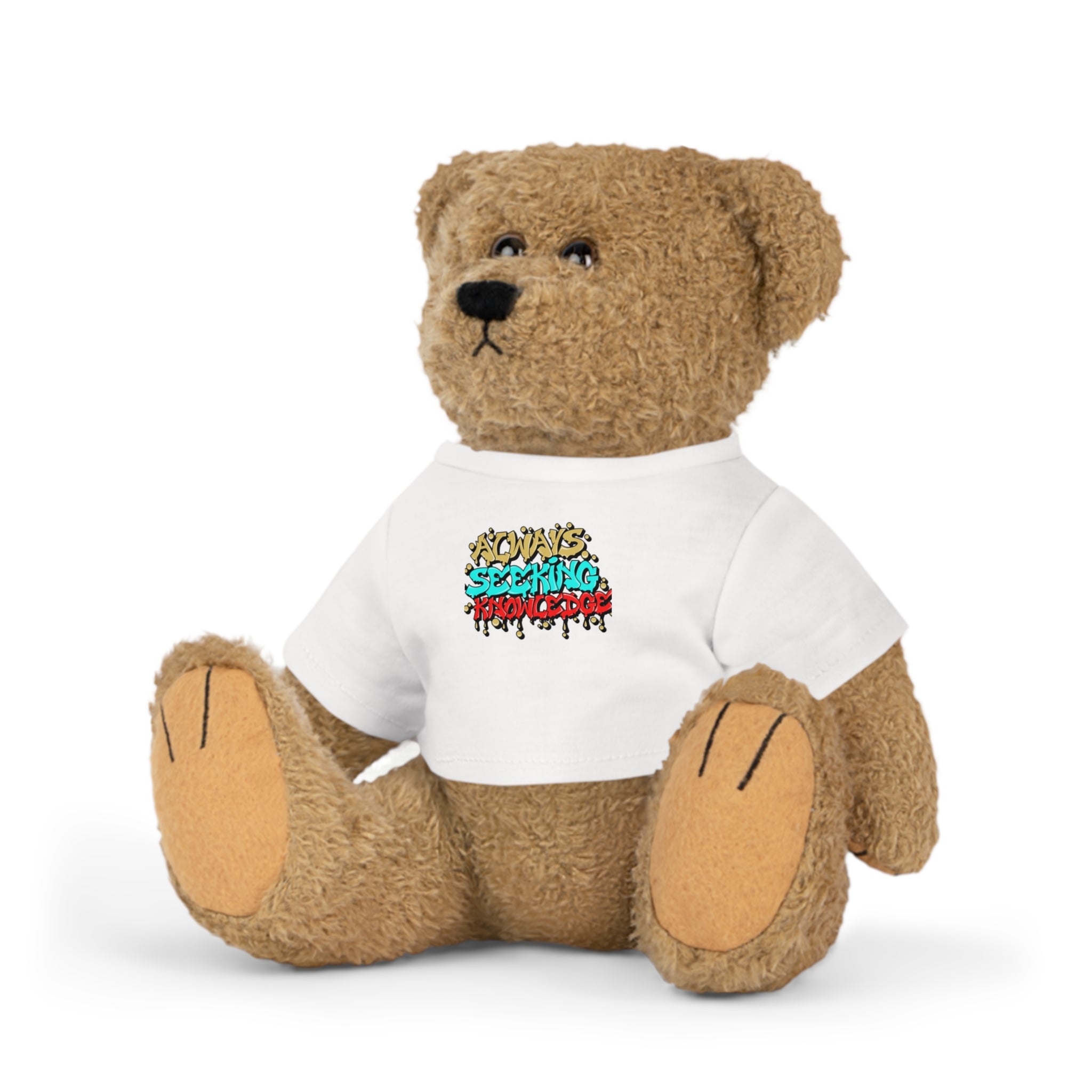 A.S.K. TEDDY