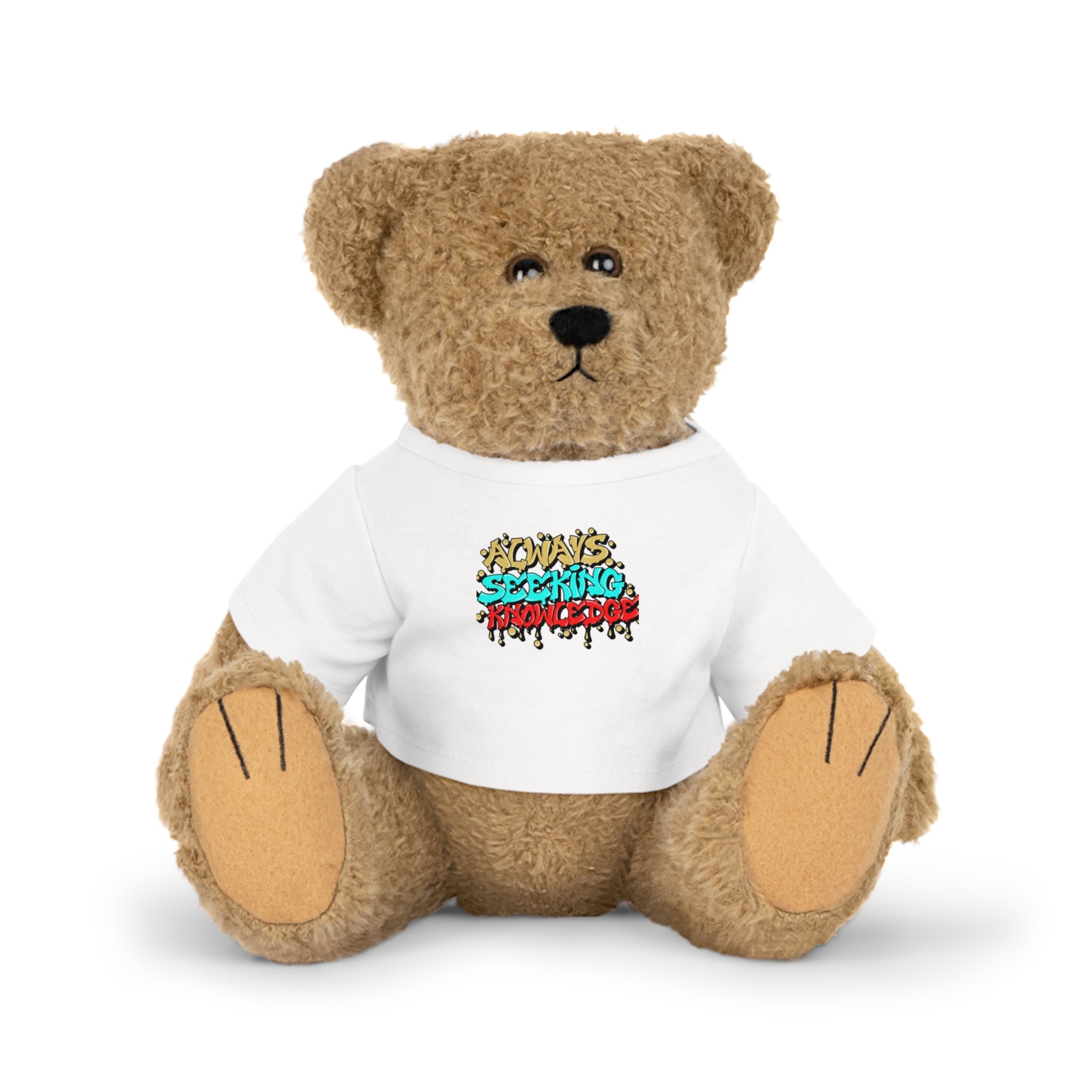 A.S.K. TEDDY