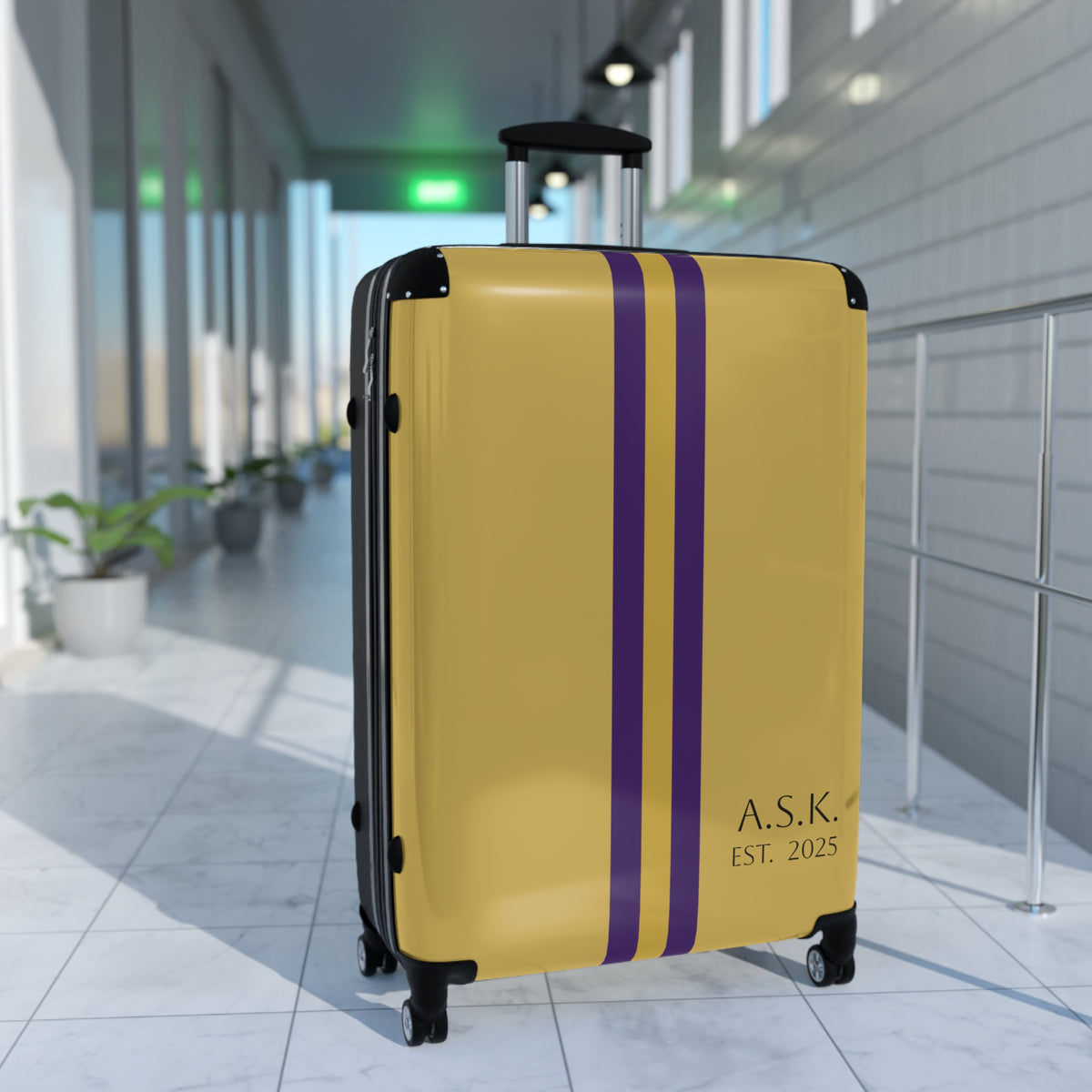 REVA ROLLER LUGGAGE EST.