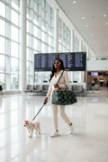ASK Y Michael Traveler MEDUSA